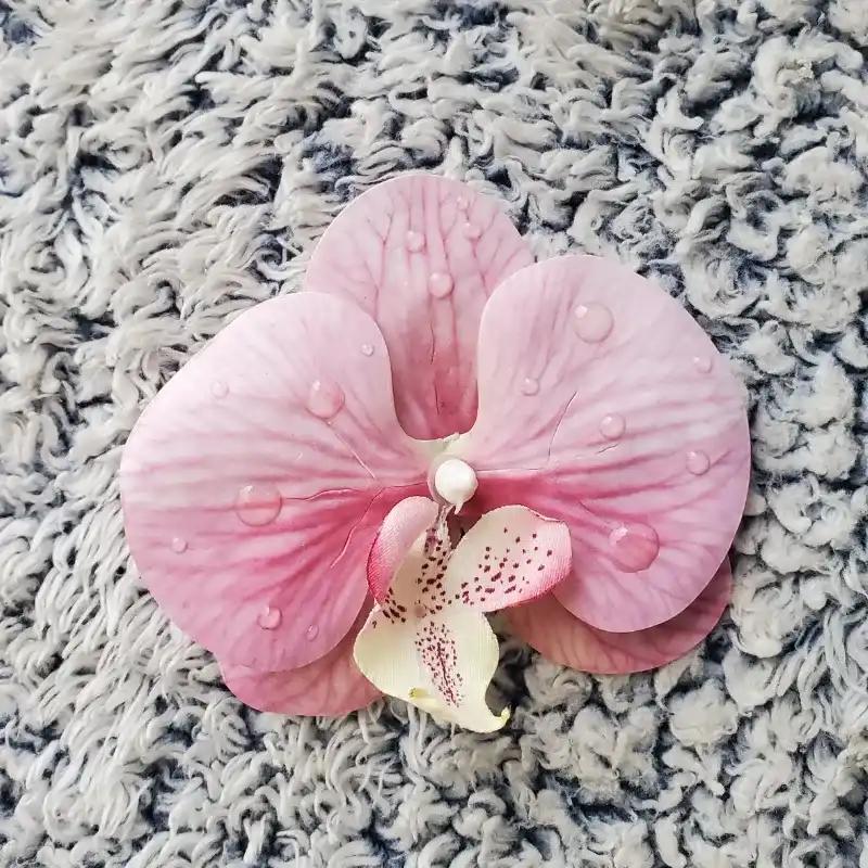 Pale Rose Clip💓