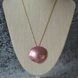 🩷Pink shell 
