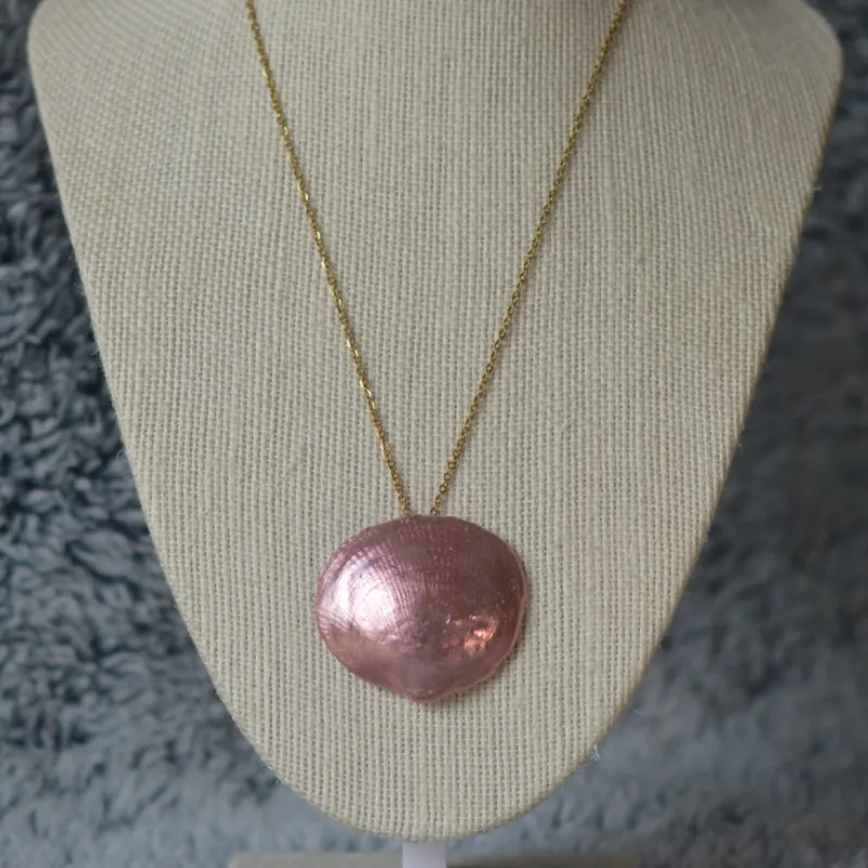 🩷Pink shell 