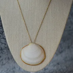 White shell 