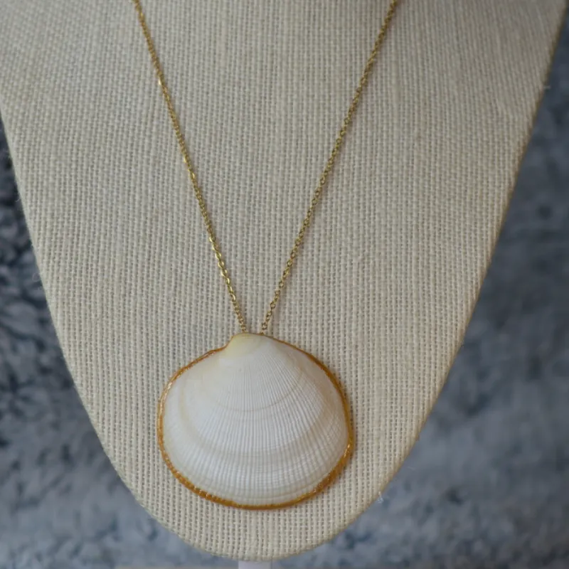 White shell 