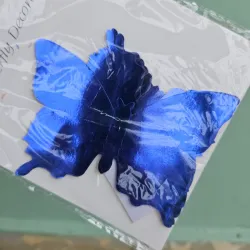Mariposa