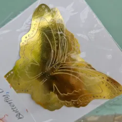 Mariposa