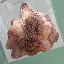 Mariposa