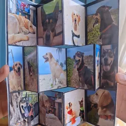 Album Acordeón 