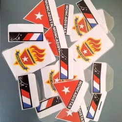 Distintivos escolares 