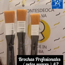 Brocha Profesional #2