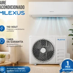 Esplit 110 volt