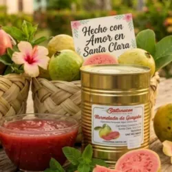 Mermelada de Guayaba 480g