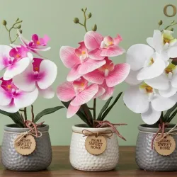 Orquídeas artificiales