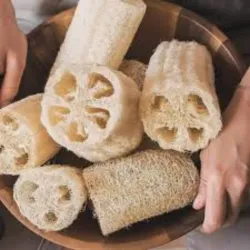 🧽Esponjas Luffa