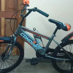 Bicicleta 20 
