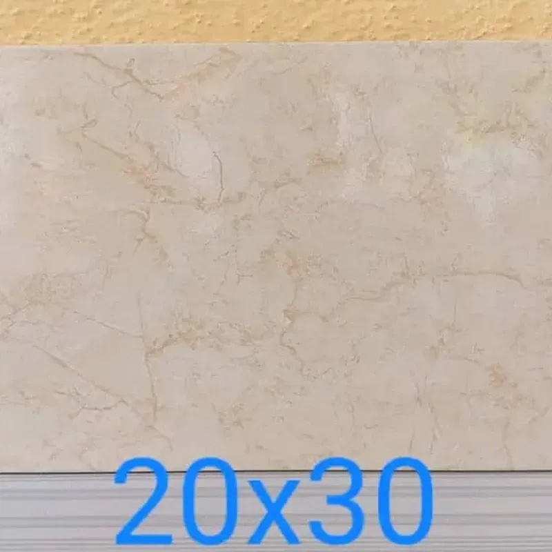 Losas de 20x30