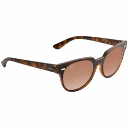 Ray ban Carey
