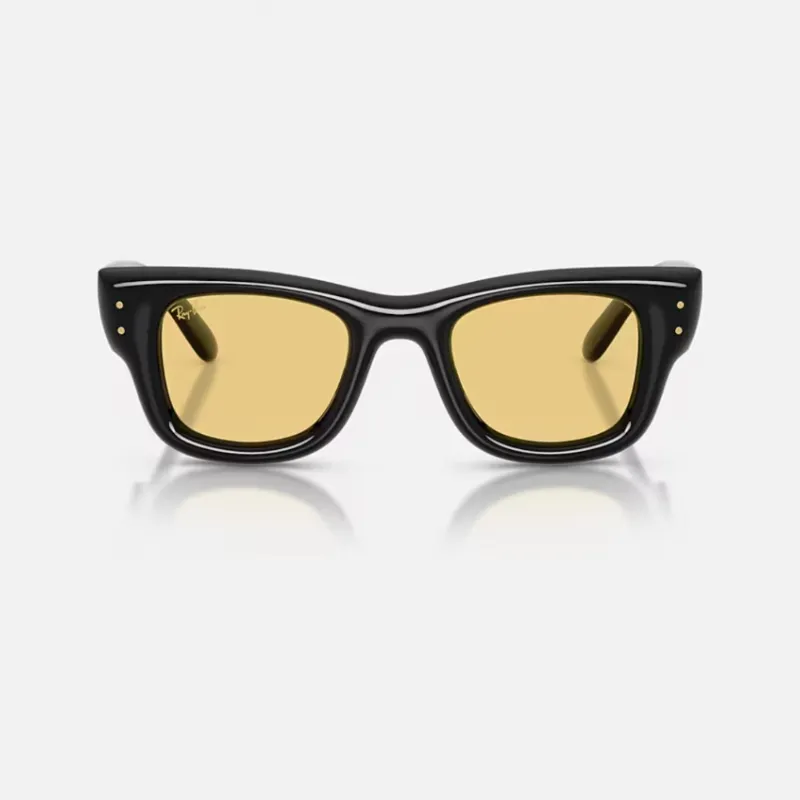 Ray ban Puffer Wayfarer