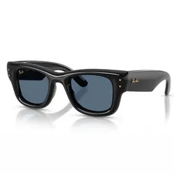 Ray ban Puffer wayfarer