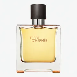 Terre D’Hermés Parfum