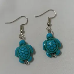 Tortu aretes 