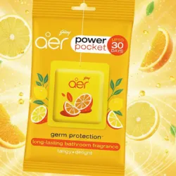 AMBIENTADOR AER POWER POCKET ( CITRICOS DELICIOSOS )