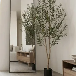 Árbol decorativo  Disponibles ( árbol de olivo) 150 Usd mensajería incluida
