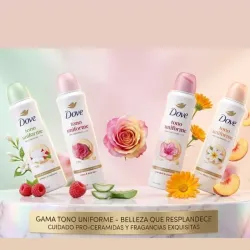 ✨️DESODORANTE DOVE SPRAY 150g