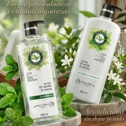 ✨️DETOX TE VERDE & MENTA 600ml