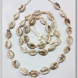 Juego de tobillera ,pulso y collar completo de caracol 