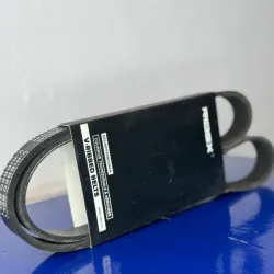 CORREA DE ALTERNADOR SCALA.