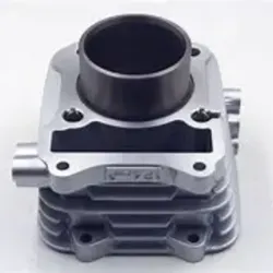 Bloque del motor para moto (GN125)