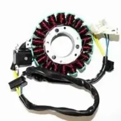 BOBINA Y MAGNETO P/MOTO (GN125)