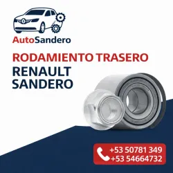 Rodamientos traseros