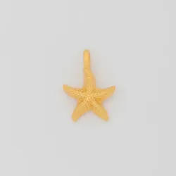 Charms Para Pulsera Personalizable (estrella de mar)