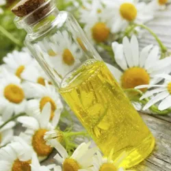 Aceite de Manzanilla