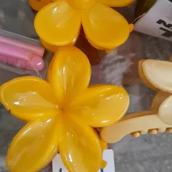 Pelliszo