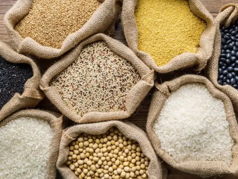 GRANOS y Pastas 🍽