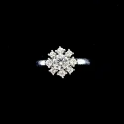 Anillo 263