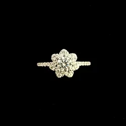 Anillo 292