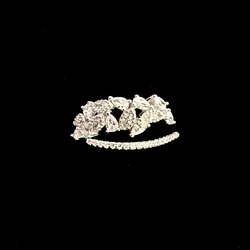 Anillo 293