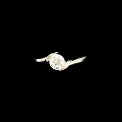 Anillo 294