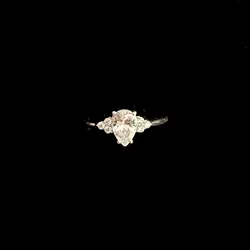 Anillo 295