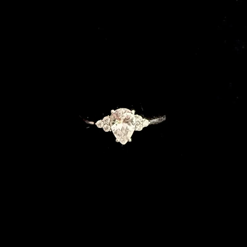 Anillo 295