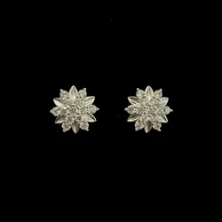 Aretes 327