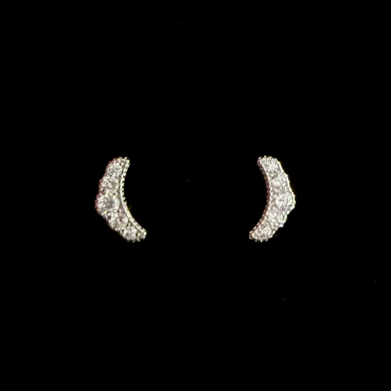 Aretes 356