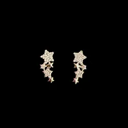 Aretes 361