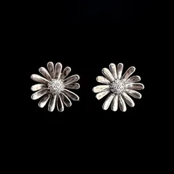 Aretes de Margarita