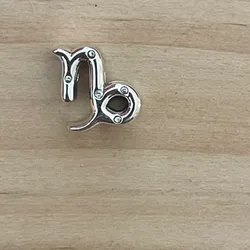 Charm de Capricornio