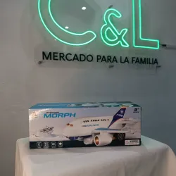 Avión de control remoto