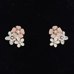 Aretes flor poeta