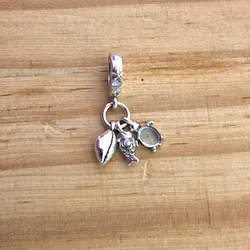 Charm tortuga concha pez