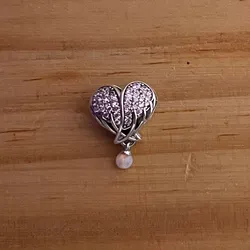 Charms de Corazón con alas 